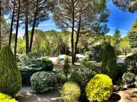 Provence mon amour