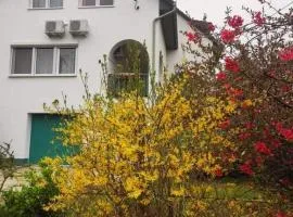 Labdarozsa Apartmanhouse
