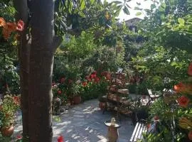 Stamatia's Garden