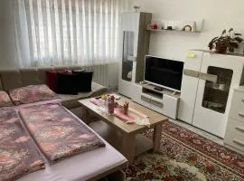 Wonderful apartment in the heart of Tuzla