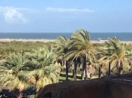 JARDINES DE ISLA CANELA By SIT ISLA CANELA -REF 144-