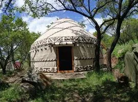 Turan Handmade Yurt with Heated Floors