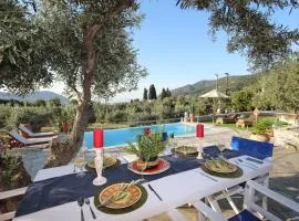 Skopelos Blue Heaven Villa in olive grove