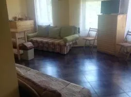 Castle Apartament