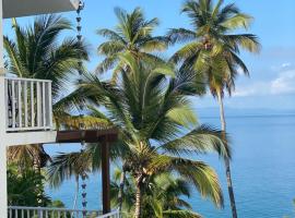 Beautiful View!!, beach hotel in Santa Bárbara de Samaná