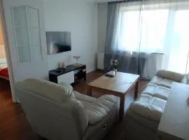 Cozy Family Apartment
