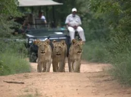 Karongwe- Shiduli Safari Lodge