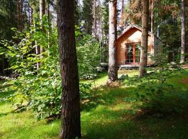 Viesnīca ar autostāvvietu Private cosy forest cabin pilsētā Inturkė
