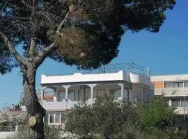Apartman Grlić family suite Vodice Croatia