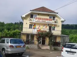 Pensiunea Vidra