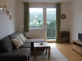 Cozy apartment in Bedřichov - Špindlerův Mlýn