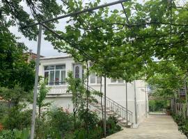 Hostel FORREST, hotel v destinaci Kutaisi
