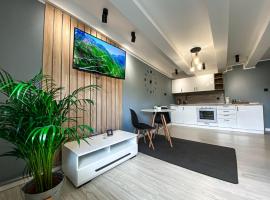 BP Apartment VI、トルンのホテル