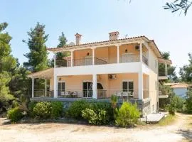 F & B Summer Collection - Paliouri