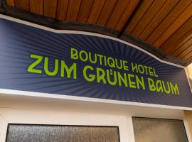 Boutique-Hotel Zum Grünen Baum, khách sạn ở Alzenau in Unterfranken