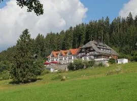JUFA Hotel Schwarzwald
