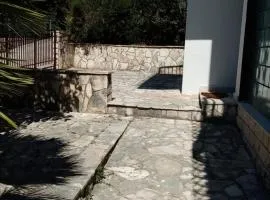 Ruža