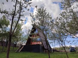 CabanuțA Young Valley，B&icirc;ltişoara的木屋