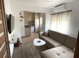 Apartman Misovic
