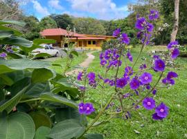 El Valle Resort & Spa - Aguas Termales, homestay in Valle de Anton