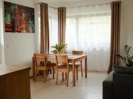 Apartament Słoneczna Rapsodia - blisko Parku Zdrojowego - piękny widok - ogród - taras