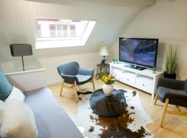 Appartement Les Tournesols avec Climatisation, ställe att bo på i Kaysersberg