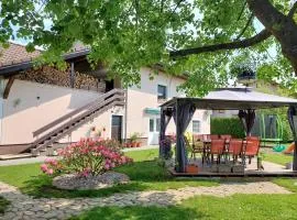 Studio apartma Žirovnik