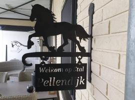 Luxe gastenkamer met living en keuken bij Friezen paarden Stal Pellendijk, country house in Westendorp