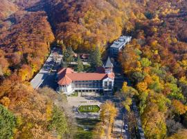 Verkhovyna Resort Medical & Wellness, hotel di Kamenitsa