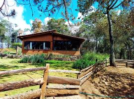 Cabaña en medio del bosque ZA, kemp v destinaci Acaxochitlán