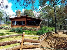 Cabaña en medio del bosque ZA, campsite in Acaxochitlán