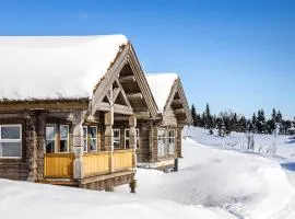 Awesome Home In Sjusjen With 5 Bedrooms, Sauna And Wifi
