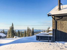 Lovely Home In Lillehammer With House A Mountain View，利勒哈默爾的豪華飯店