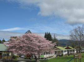 Turangi Bridge Motel, Hotel in Turangi