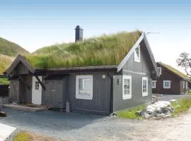 Amazing Home In Rauland With Wifi