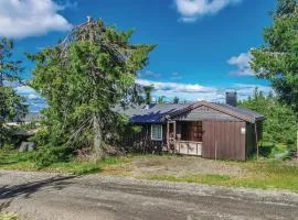 Gorgeous Home In Sjusjøen With Sauna