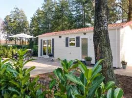 Pet Friendly Home In Vorden With Wifi