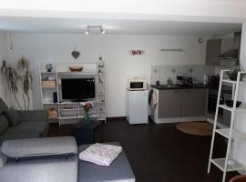 Appartement F2 de 50m2 équipé à 5min de Colmar, hotel in Horbourg