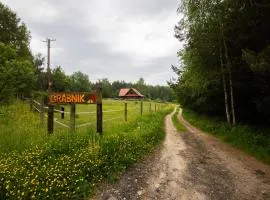 Wolna Republika Grabnik