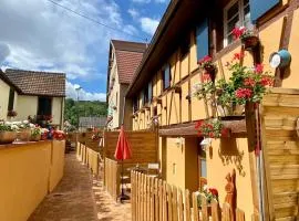 Coeur d'Alsace Colmar Vignobles Ouest avec terrasses
