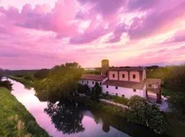 - Il Casale Toscano - 1900 meters from Tower of Pisa - Room rental only - Checkin from 3 pm - No Breakfast - Free Parking -