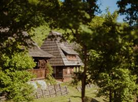 Raven's Nest - The Hidden Village, Transylvania - Romania, pansion u gradu Sub Piatra