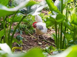 Quinta biol&oacute;gica, com vista, na Serra de Sintra