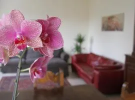 Casa Farinati
