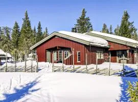 Sjusjøvegen 1951