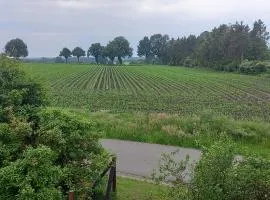 zum Kranichblick
