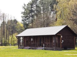 ТУРБАЗА NESTER-HOUSE, hotel di Svityazʼ