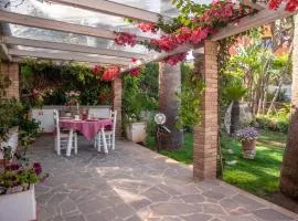 Casa Petunia