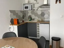 Studio ISARD, wifi et parking gratuit, Navette gratuite au pied de la résidence, possibilité forfait ménage et location linge de lit et toilette, à 10 minutes à pied du centre ville