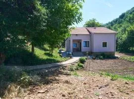 Šumska tajna - Radenkovac